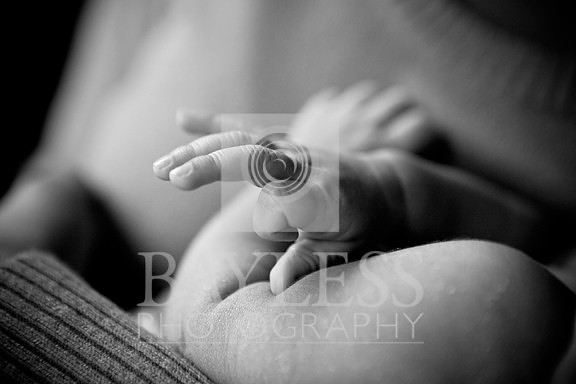 7196_small (2).jpg