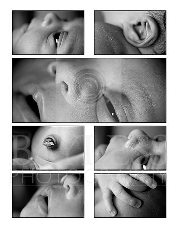 collage_fin_small.jpg
