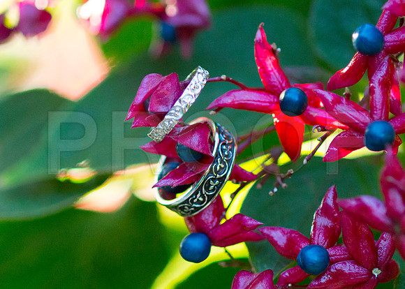 Adriana&Scott0279
