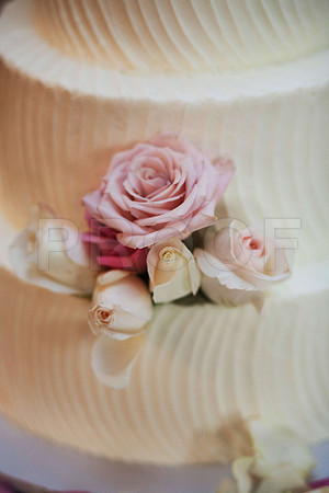 Leah&Jon0380