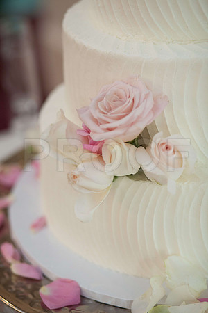 Leah&Jon0382