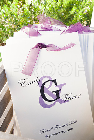 Emily&Trevor0312