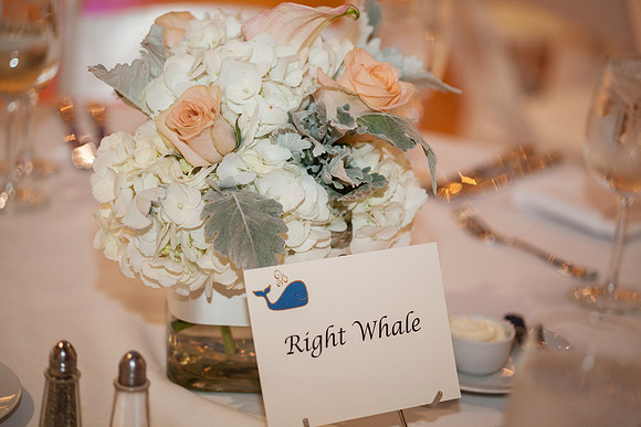 Meredith&Greg0376
