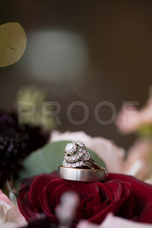 Brittany&Adam0027