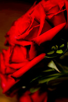 IMG_0006.jpg