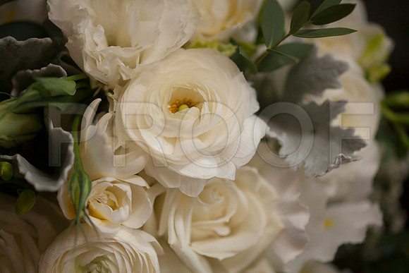 Danielle&Andres0128