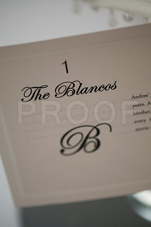 Danielle&Andres0099