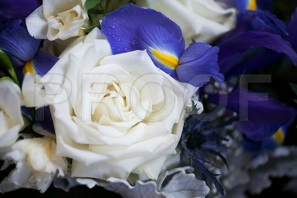 Danielle&Andres0131