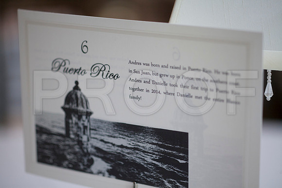 Danielle&Andres0117