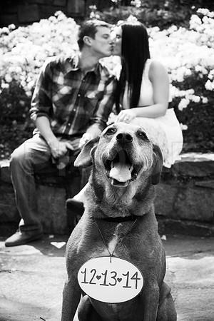 Jaimie&Spoon0041