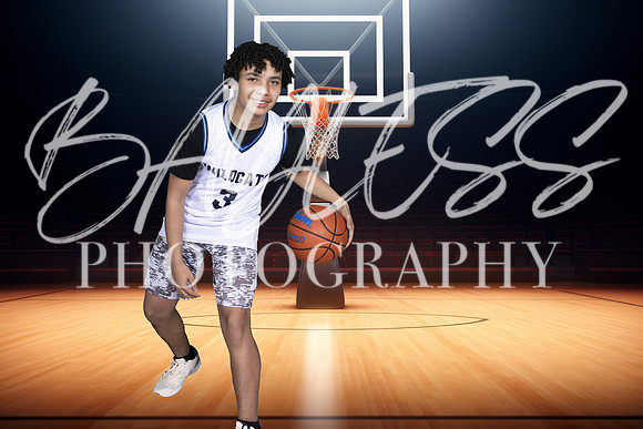 Wildcats034