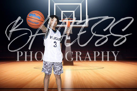 Wildcats031