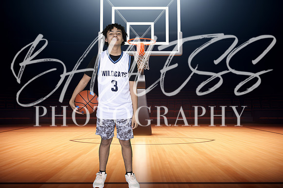 Wildcats032
