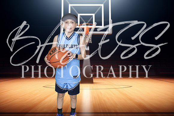 Wildcats011
