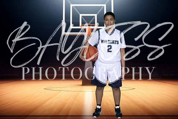Wildcats024