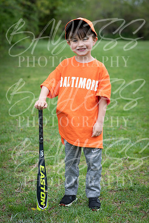 CBM45569