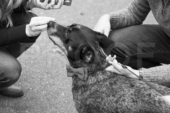 Sarah&Damien0053