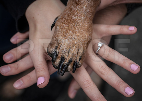 Sarah&Damien0056