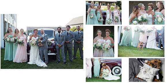 Jenessa & Andrew Pg 12-13