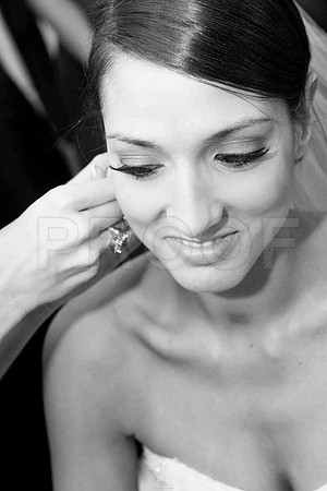 IMG_0146.jpg