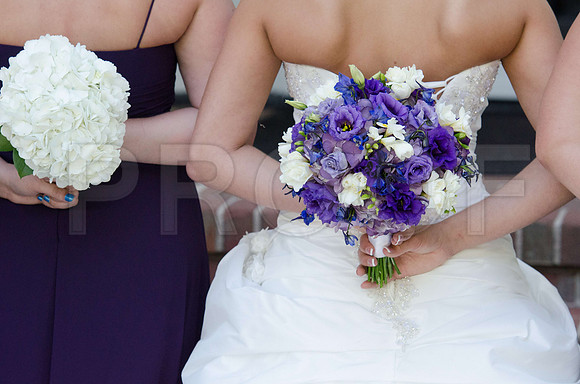 IMG_0087