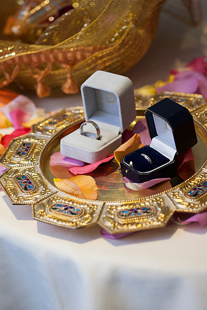 Cristy&Anshul_0289
