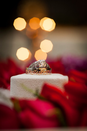 Cristy&Anshul_0276