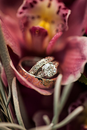 Cristy&Anshul_0272