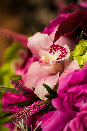 Cristy&Anshul_0048