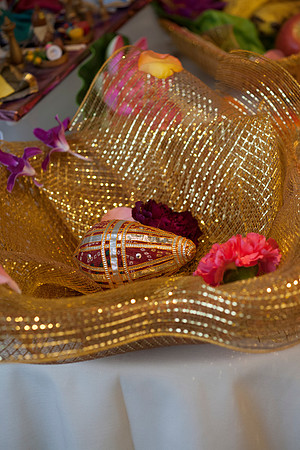 Cristy&Anshul_0292