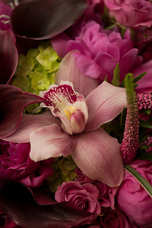 Cristy&Anshul_0045