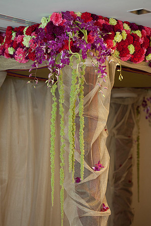 Cristy&Anshul_0291