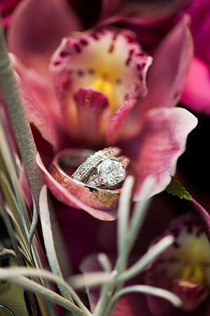 Cristy&Anshul_0273