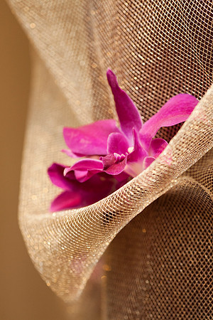Cristy&Anshul_0284