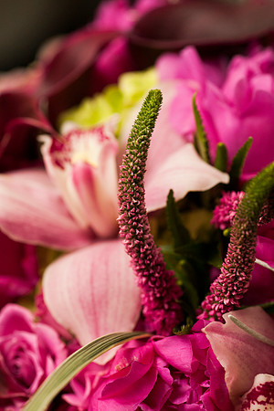 Cristy&Anshul_0051