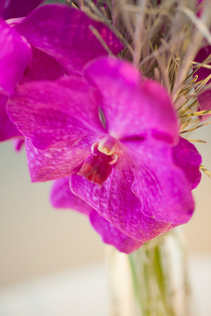 Cristy&Anshul_0074