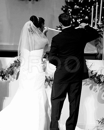 IMG_0293.jpg