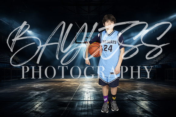 Wildcats341