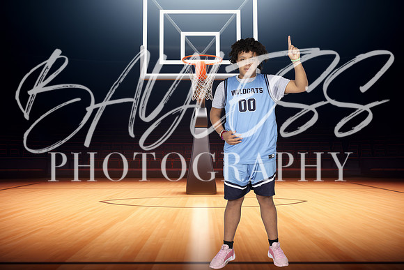Wildcats421