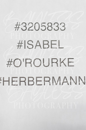 BRMSGr80586
