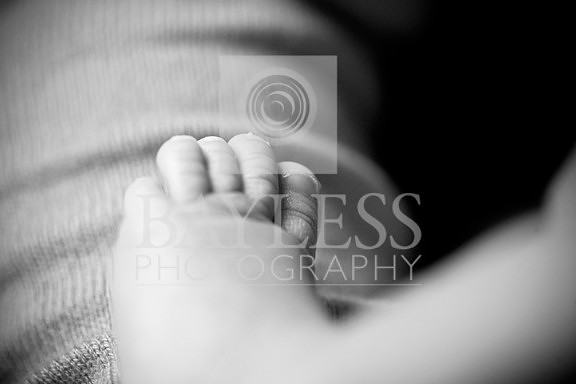 7202_small (2).jpg