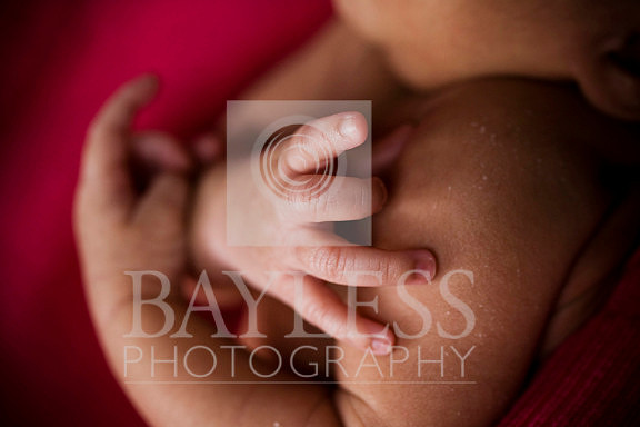 7224_small (2).jpg